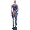 Casual See Through Mesh Romper and Pant